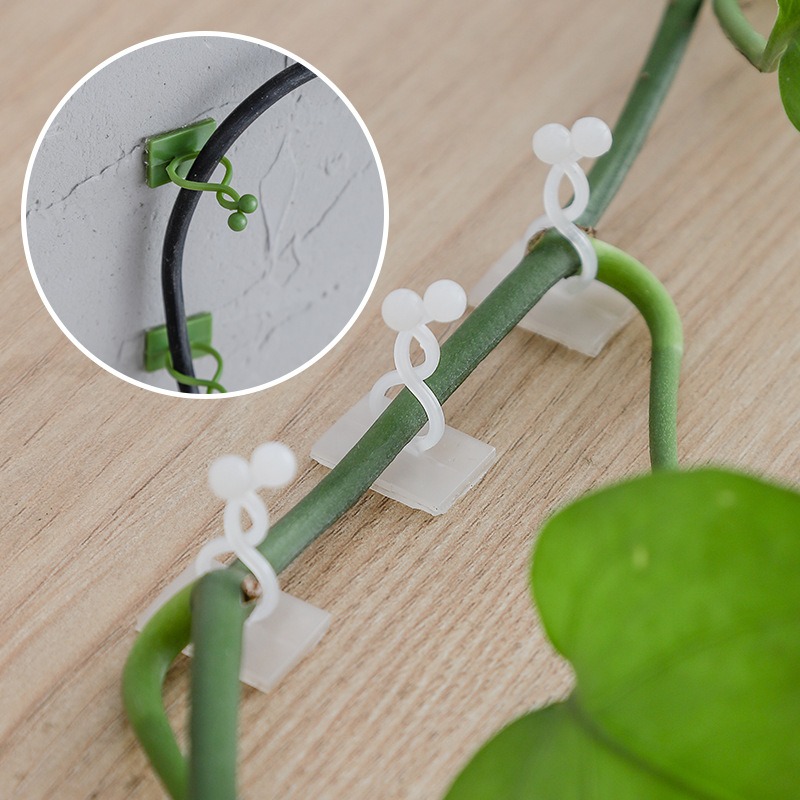 Vine Climbing Plastic - 10 قطع من خطافات تثبيت النباتات