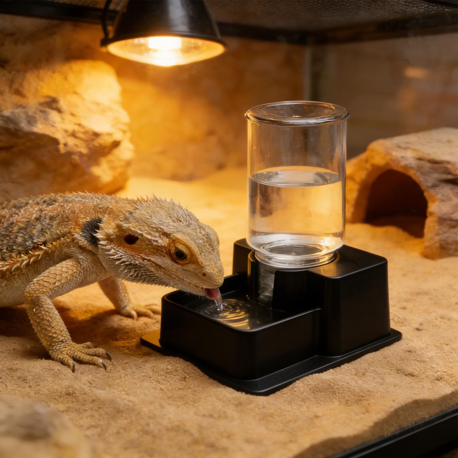 Water Dish Reptile - نافورة مياه أوتوماتيكية للزواحف، وعاء ماء