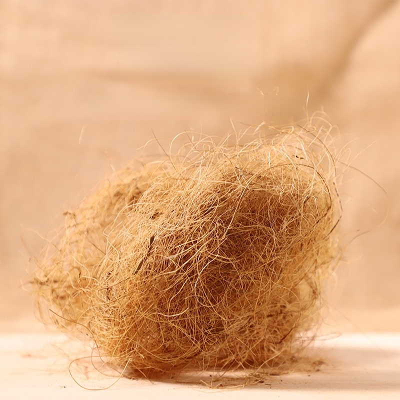 Substrate Coconut Fiber - 100 جرام فينش ألياف جوز الهند