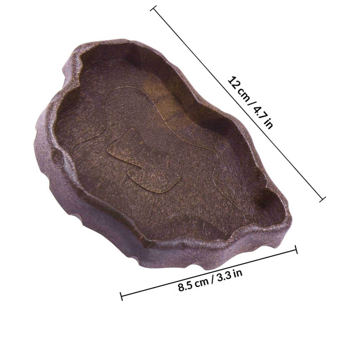 طبق طعام من الراتنج للزواحف مق - مراجعة Water Dish Reptile وسعره