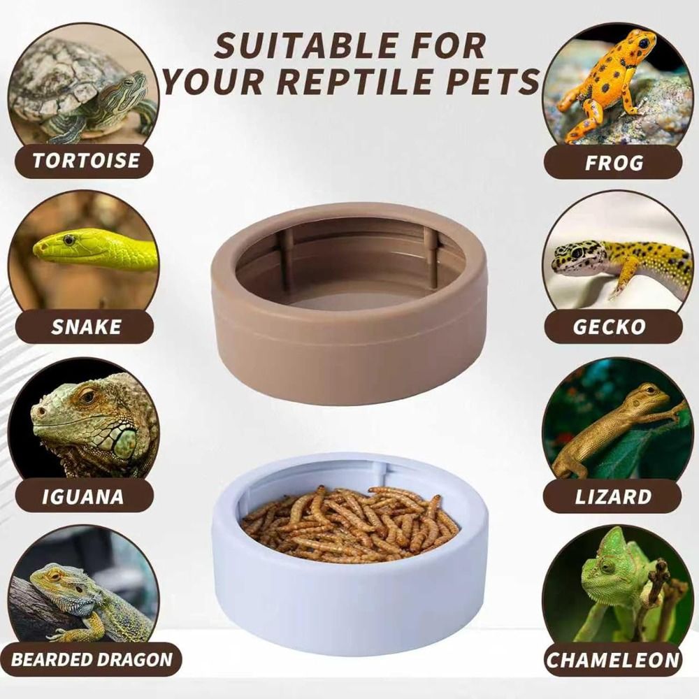 وعاء طعام محمول للزواحف مانع ل - مراجعة Water Dish Reptile وسعره