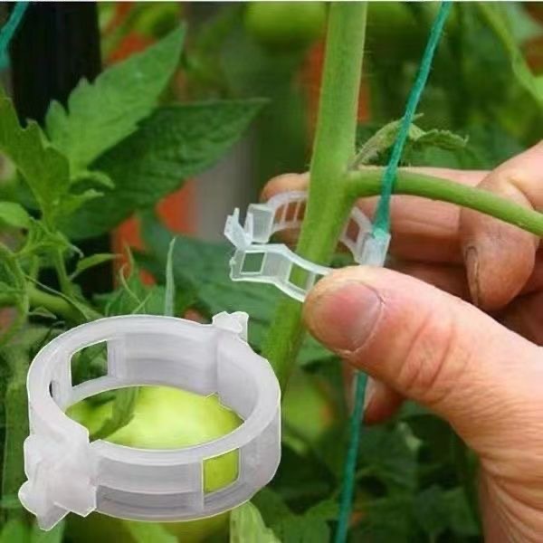 500 قطعة مشابك بلاستيكية لدعم  - مراجعة Vine Climbing Plastic وسعره